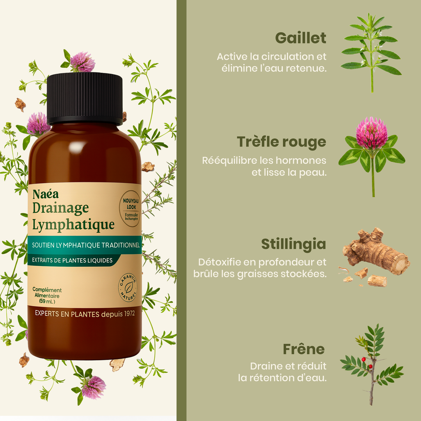 Naéa® : Cure Détox Drainante 100% Naturelle